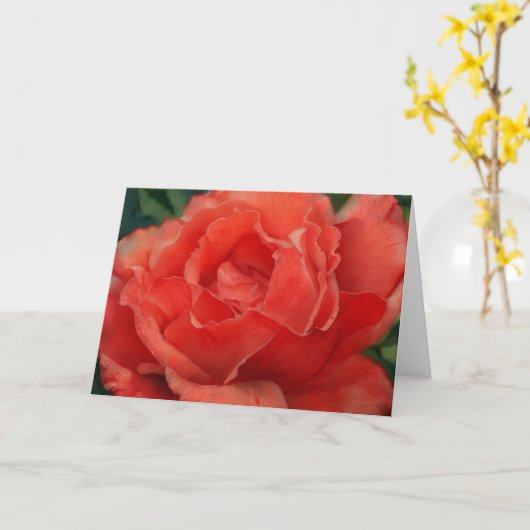 Beautiful Red Coral Rose Art Note Card カード (黄色い花)