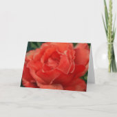Beautiful Red Coral Rose Art Note Card カード (正面)