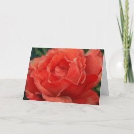 Beautiful Red Coral Rose Art Note Card カード