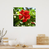 Beautiful Red Hawaiian Hibiscus Flower Poster ポスター (キッチン)