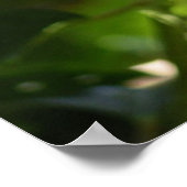 Beautiful Red Hawaiian Hibiscus Flower Poster ポスター (角)