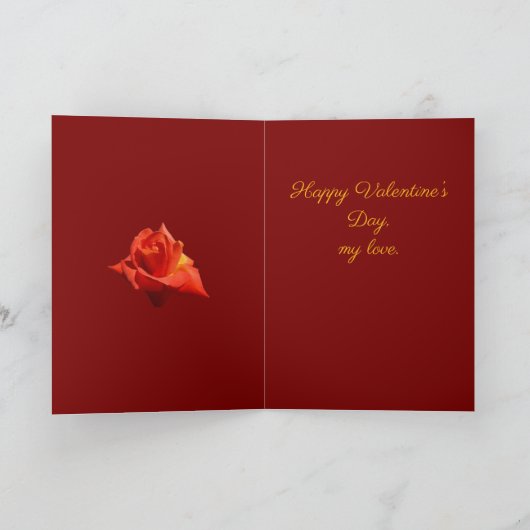 Beautiful Red Rose Isolated Photograph Vector カード (内部)