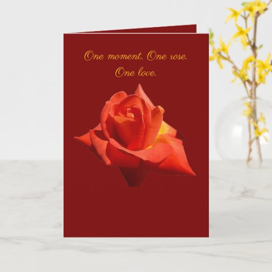 Beautiful Red Rose Isolated Photograph Vector カード (黄色い花)