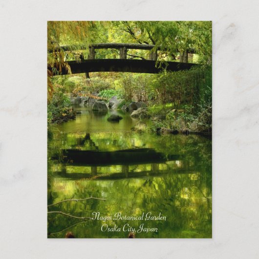 Beautiful scenery：Postcard ポストカード (正面)