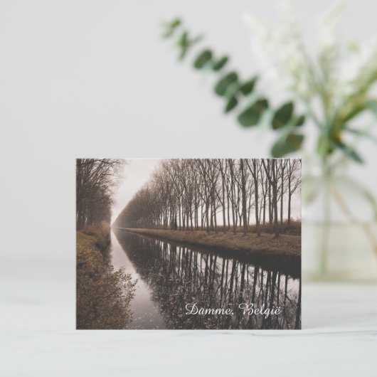 Beautiful Schipdonk Canal in Autumn, Damme シーズンポストカード (スタンド正面)