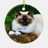 Beautiful Siamese Cat Photo Ceramic Ornament セラミックオーナメント (正面)