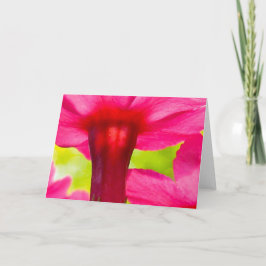 Beautiful, Soft, Pink Floral Nature カード