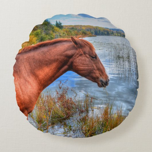 Beautiful Sorrel Mare & Lake ウマ科の View写真2 ラウンドクッション (正面)