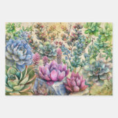 Beautiful Succulent Varieties ラッピングペーパーシート (正面3)