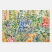 Beautiful Succulent Varieties ラッピングペーパーシート (正面)