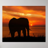 Beautiful Sunset with Silhouette of Elephant ポスター (正面)