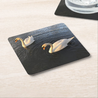 Beautiful swans スクエアペーパーコースター