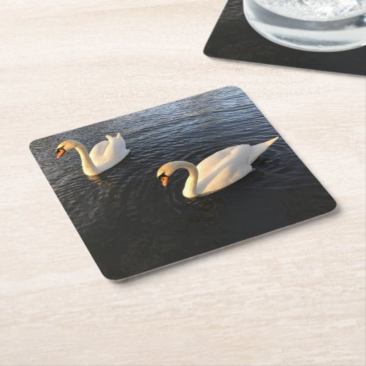 Beautiful swans スクエアペーパーコースター (アングル)