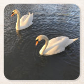 Beautiful swans スクエアペーパーコースター (正面)