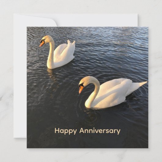 Beautiful swans Anniversary シーズンカード (正面)