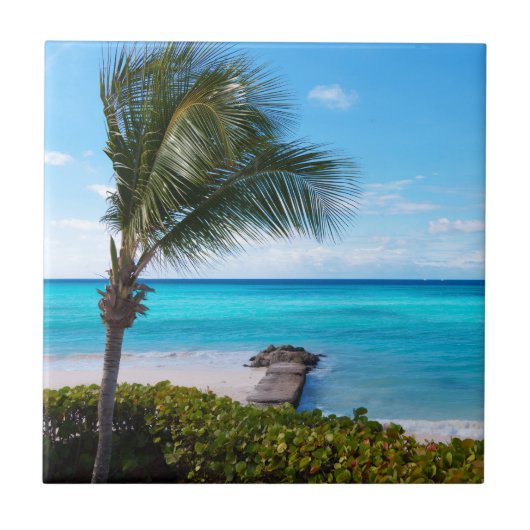 Beautiful Tropical Beach Breezy Palm Tree タイル (正面)