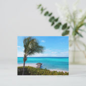 Beautiful Tropical Beach Breezy Palm Tree ポストカード (スタンド正面)