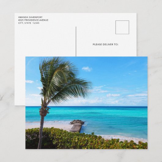 Beautiful Tropical Beach Breezy Palm Tree ポストカード (正面/裏面)