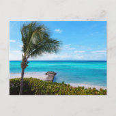 Beautiful Tropical Beach Breezy Palm Tree ポストカード (正面)