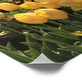 Beautiful Tulip Field with Hot Air Balloon, Oregon ポスター (角)