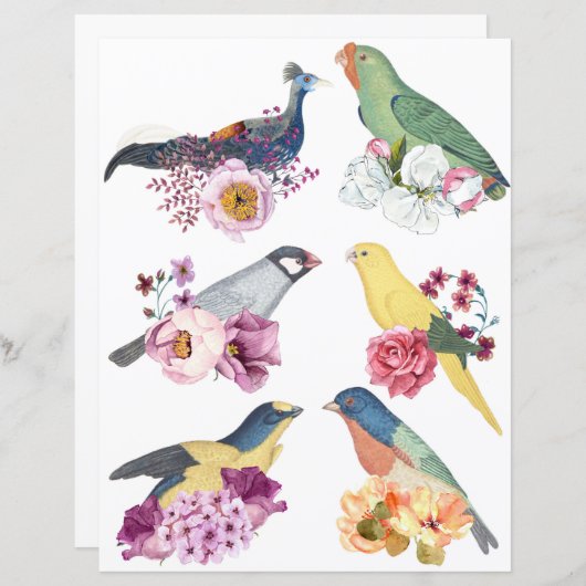 Beautiful vintage birds with flowers scrapbooking (正面/裏面)