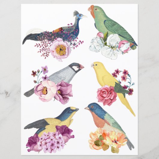 Beautiful vintage birds with flowers scrapbooking (正面)