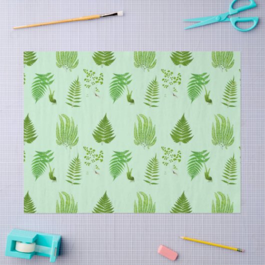 Beautiful vintage ferns paintings 薄葉紙 (クラフト)