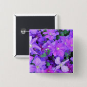 Beautiful Violet Clematis 缶バッジ (正面&裏面)