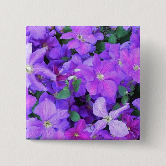 Beautiful Violet Clematis 缶バッジ (正面)