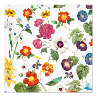 Beautiful Watercolor Botanical フォトプリント