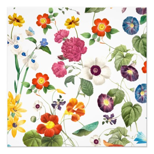 Beautiful Watercolor Botanical フォトプリント (正面)