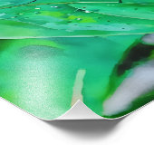 Beautiful White and Brown Butterfly フォトプリント (角)