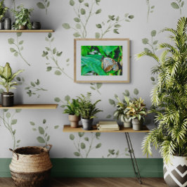 Beautiful White and Brown Butterfly フォトプリント