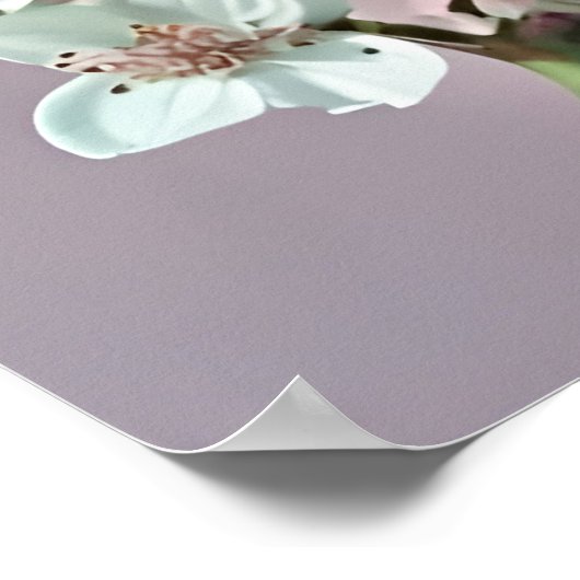 Beautiful White & Pink Peonies On Pink Background ポスター (角)