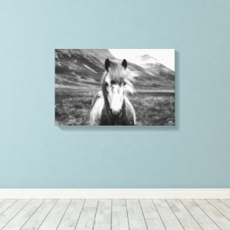 Beautiful Wild Horse Black and White キャンバスプリント