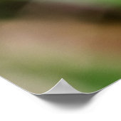 Beautiful Wings ポスター (角)