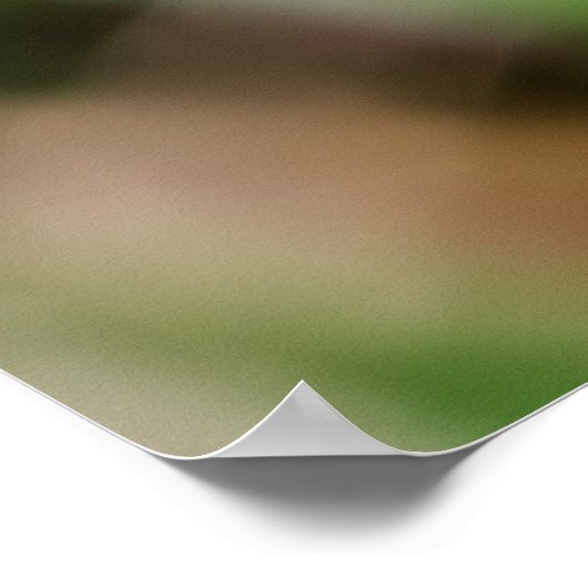 Beautiful Wings ポスター (角)