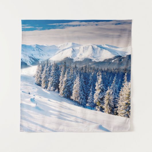 Beautiful winter landscape with snow covered trees タペストリー (正面)