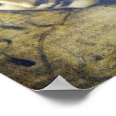 Beautiful Woman By Leonard Davinci print ポスター (角)