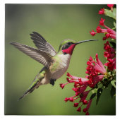 Beautifull Hummingbird タイル (正面)