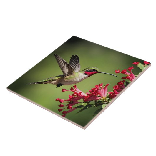 Beautifull Hummingbird タイル (側面)