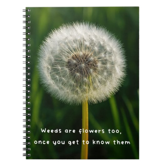 Beauty eye beholder dandelion weed quote unique  ノートブック (正面)