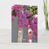 Beauty is Roses Fence (photography by me) カード (裏面)