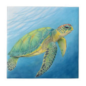 Beauty of the turtle タイル (正面)