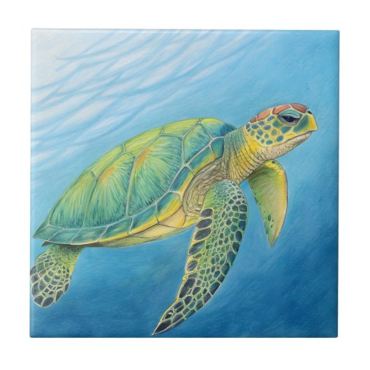 Beauty of the turtle タイル (正面)