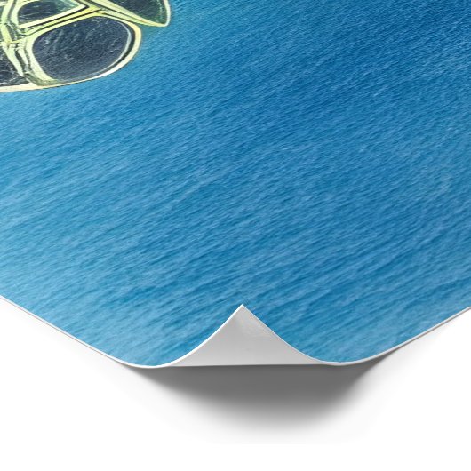 Beauty of the turtle ポスター (角)