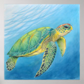 Beauty of the turtle ポスター (正面)