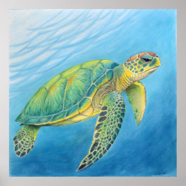 Beauty of the turtle ポスター