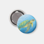 Beauty of the turtle マグネット (正面/裏面)