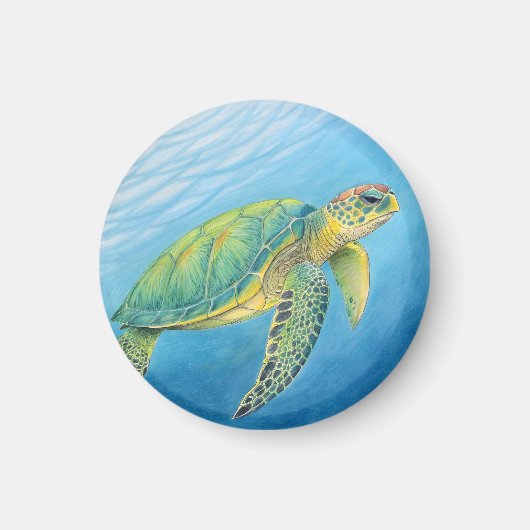 Beauty of the turtle マグネット (正面)